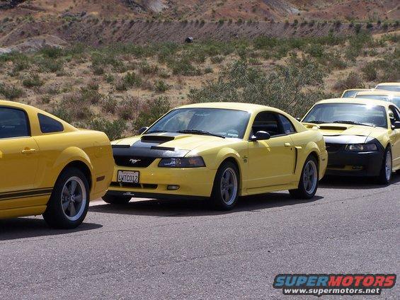 Three yellow Ford Mustangs parked in a line on a paved road with a desert landscape in the background. The lead Mustang has a black hood scoop and a license plate reading LWTCO12