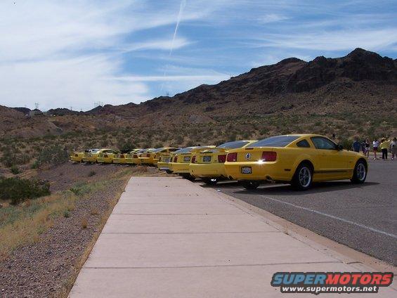 Line of yellow Ford Mustangs parked in a desert landscape