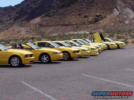 Row of yellow Ford Mustangs, one with scissor doors