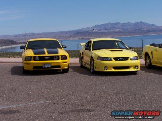 Two yellow Ford Mustangs parked by a lake, one with black stripes on the hood