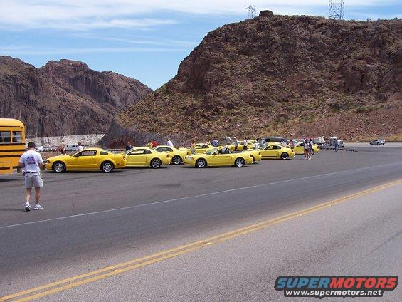 Several yellow Ford Mustangs parked in a lot next to a yellow school bus, with mountains in the background
