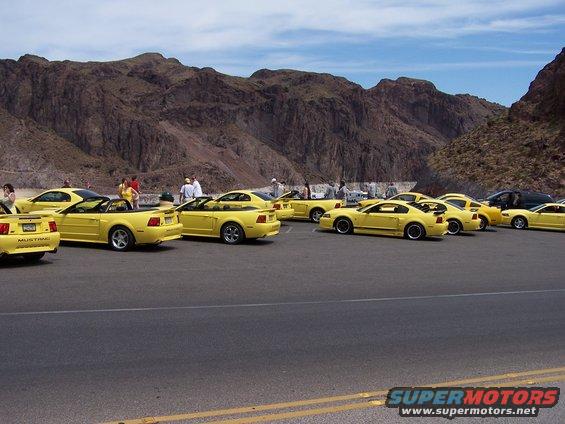 Several yellow Ford Mustangs parked in a row with mountains in the background. One car has 'MUSTANG' visible on the rear