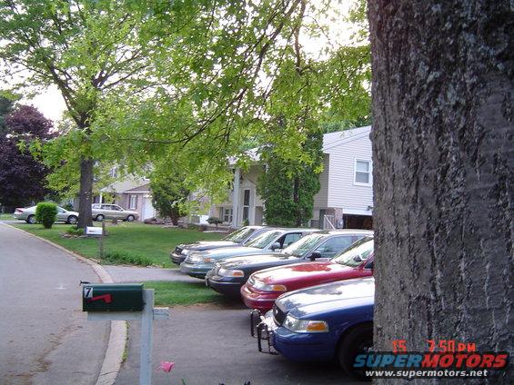 Several Ford Crown Victoria Police Interceptor sedans parked in a row on a residential street