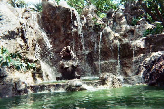 021_21a.jpg 