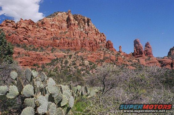 Red rock formations and prickly pear cactus under a blue sky with clouds