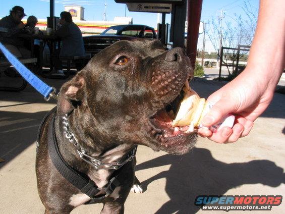 He loves ice cream.
