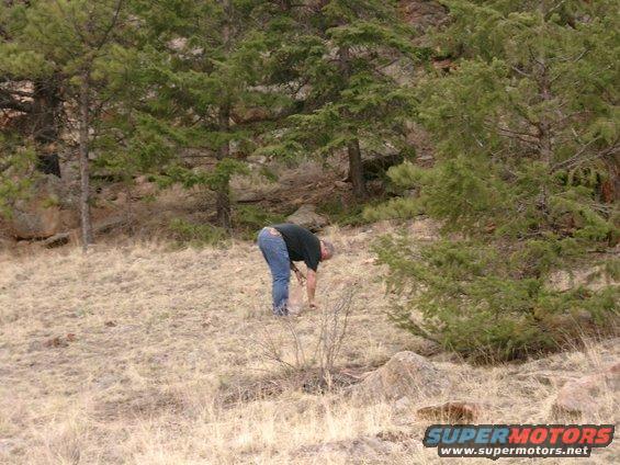 other-peoples-trash.jpg Picked up five bags of other people's trash while I was there.  Idiots!