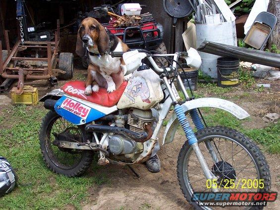 100_2544.jpg This is my Dog Dixie, sitting on my Dirt bike. Her name is Dixie and she is a Basset hound.