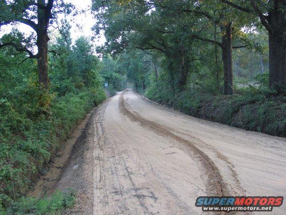 Dirt road curves through trees. Tire tracks visible