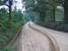 1989 Ford F-150 - A dirt road winds through a wooded area with tire tracks marking the path.