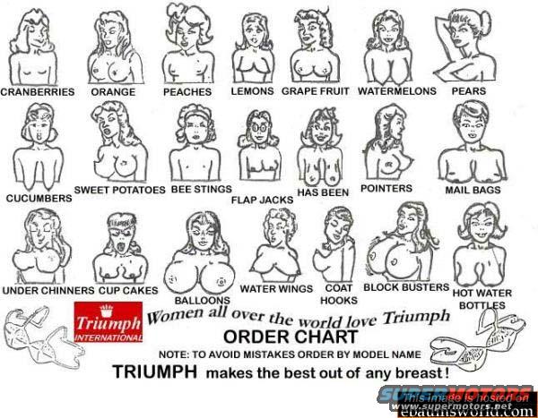 Diagram of women's upper bodies with labels like 'cranberries' to 'hot water bottles', and 'Triumph' logo