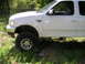 1994 Ford Bronco - A lifted white Ford F-150 pickup truck with chrome wheels is shown from the side in a grassy area.
