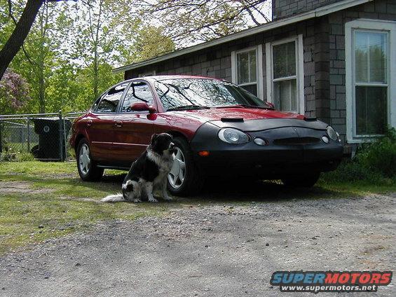 1997 Ford Taurus with a black car bra and a dog sitting in front of the house