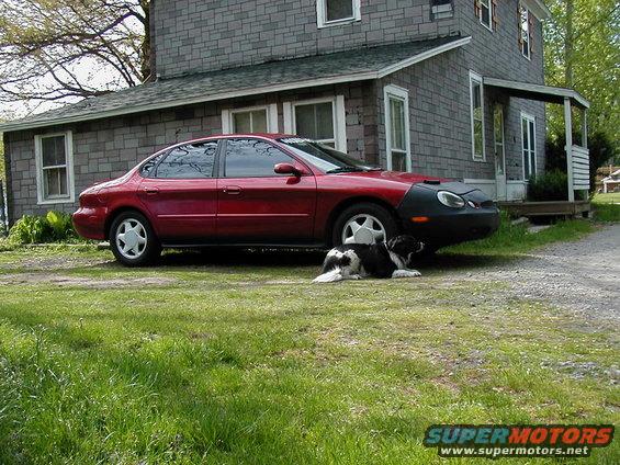 Red sedan with a black car bra and a dog lying in front of a house