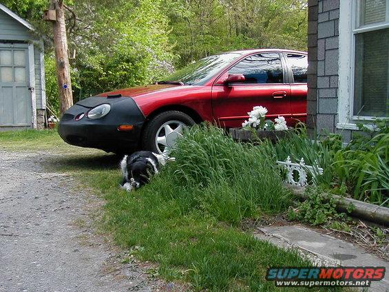 Red sedan with a black car bra parked on a gravel driveway next to a house. A dog lies in the grass in front of the car