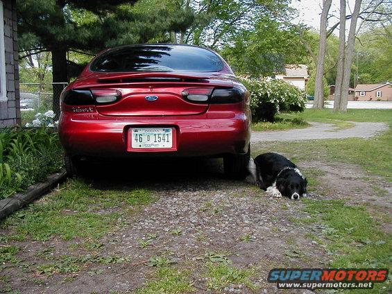 Red 1997 Ford Taurus rear view with a dog lying down