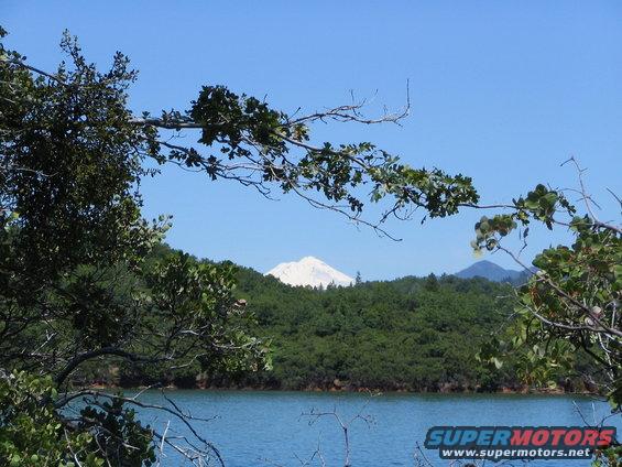 Lake with snow-capped mountain and trees