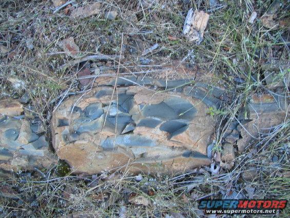 rock formation with blue and tan layers, surrounded by dry grass and twigs