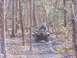 2003 Honda RUBICON - Riding an ATV through a wooded area on a muddy trail. The photo is dated 02/04/2005.