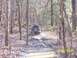 2003 Honda RUBICON - An ATV navigates a muddy path through a forest, kicking up water and dirt.