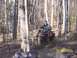 2003 Honda RUBICON - An ATV navigates a muddy path through a dense forest, with another ATV visible in the foreground.