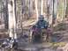 2003 Honda RUBICON - A rider on a red ATV splashes through mud on a wooded trail.