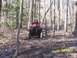 2003 Honda RUBICON - Riding an ATV through a wooded area with muddy terrain and fallen leaves.