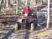 2003 Honda RUBICON - Rider on a red 2003 Honda RUBICON ATV navigates a muddy, wooded path.