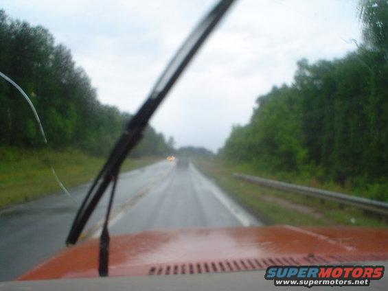 View from inside a vehicle driving on a wet road with trees lining the sides
