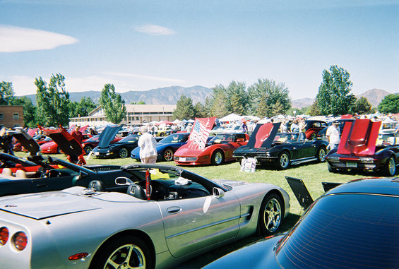 0764351r104621a.jpg invasion of bowties