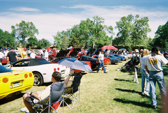 0764351r104822a.jpg more bowties