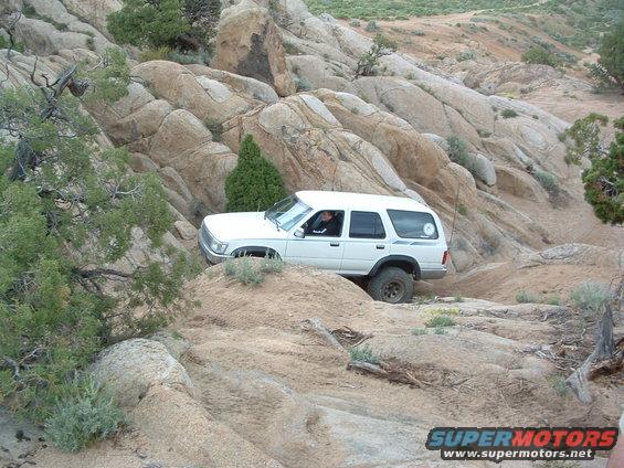 dscf0030.jpg Mikey on rocks