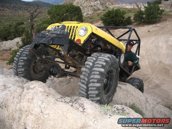 img_3235.jpg cory on the humpback whale...