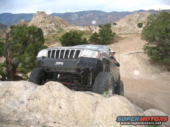 img_3242.jpg adam on the humpback whale...