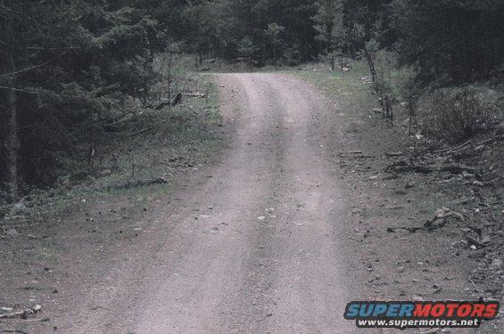 03180015.jpg Trails 2