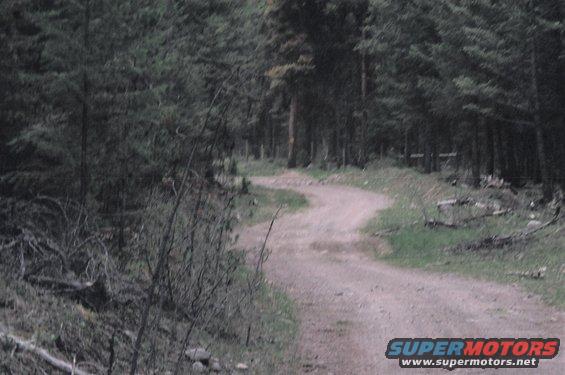 03180016.jpg Trails 3