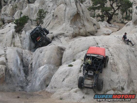 img_3286.jpg more crawling...