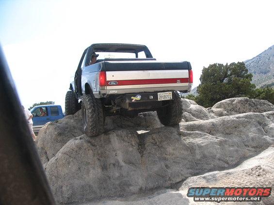 img_3305.jpg andy spanking the humpback whale... ha ha...