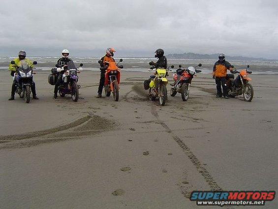 guysonbeach.jpg A few posing.