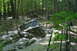 1974 Ford Bronco - Two off-road vehicles navigate a challenging muddy trail in a forest environment.