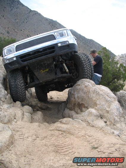 img_3342.jpg another poser shot...