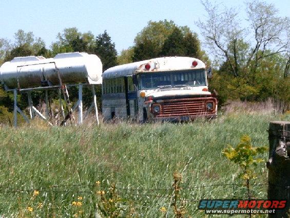 White school bus with rusted orange grille, parked in tall grass