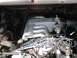 1979 Ford Bronco - Close-up view of an engine bay a "Lightning" branded intake manifold and distributor cap.