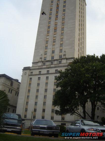 Dark sedan parked in front of a building, rear view. License plate is visible