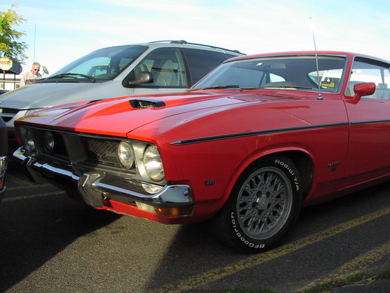 03june05-(32).jpg Australian Falcon! Don't see these everyday!