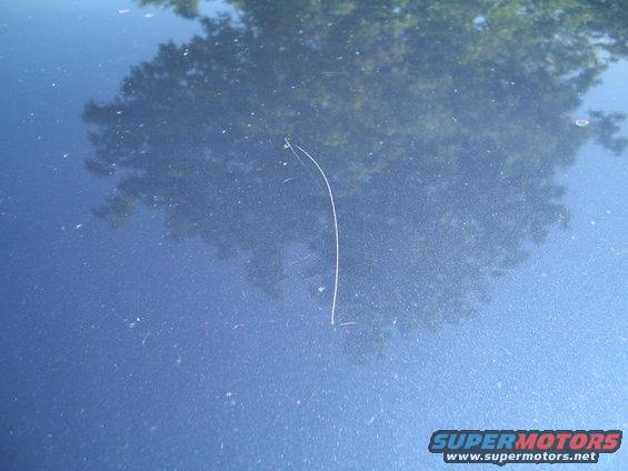 Blue car hood with scratch and tree reflection. Supermotors.net logo visible