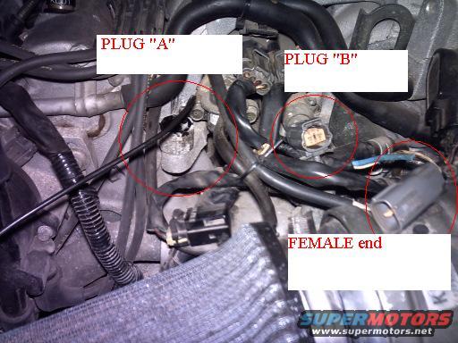 Engine bay showing electrical connectors labeled 'PLUG "A"', 'PLUG "B"', and 'FEMALE end'