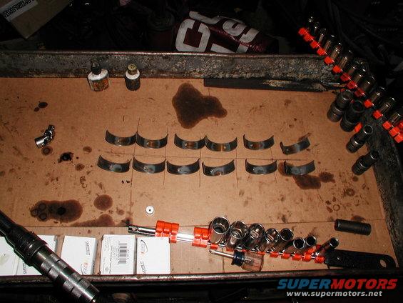 Rod bearings laid out on cardboard with oil stains, sockets, and a screwdriver