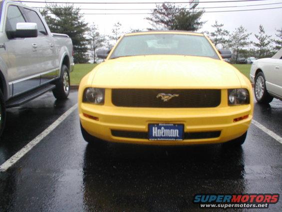 Yellow Ford Mustang front view with 'Hofman' license plate