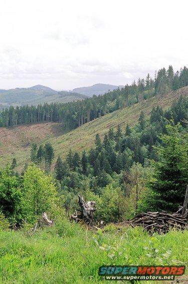 aquadsteepbank.jpg Photo to show the steepness of the bank that the quad is located over 200 feet down in thick brush.